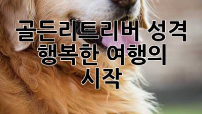골든리트리버 성격: 행복한 여행의 시작
