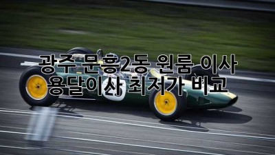 광주 문흥2동 원룸 이사, 용달이사 최저가 비교!