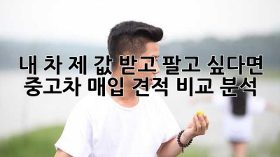 내 차, 제 값 받고 팔고 싶다면? 중고차 매입 견적 비교 분석!
